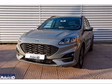 FORD Kuga 1.5 ecoblue st-line 2wd 120cv del 2022