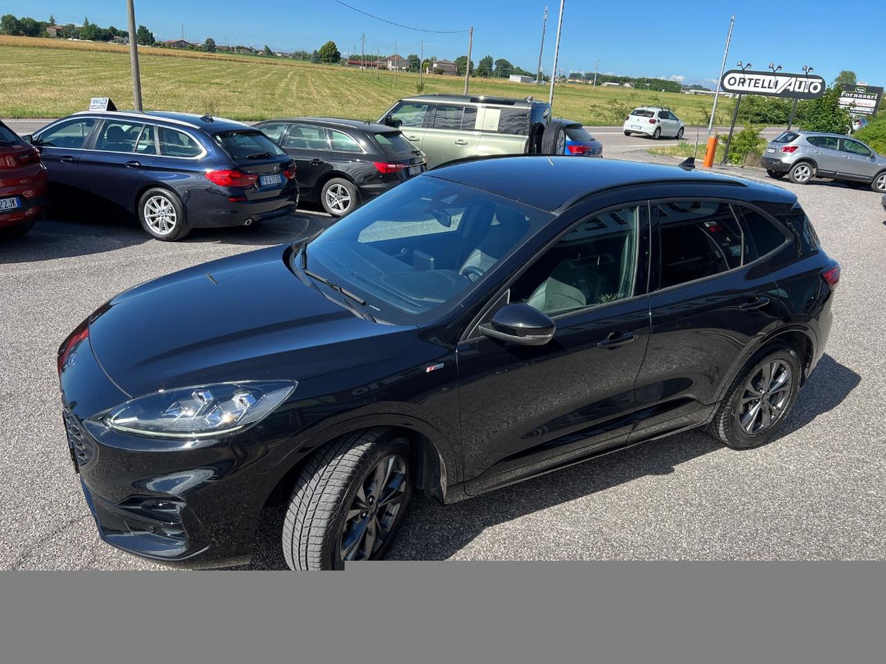 Kuga 1.5 EcoBlue 120 CV aut. 2WD ST-Line N1 AUTOCARRO