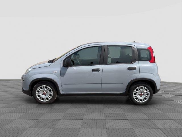 FIAT Panda Panda 1.0 FireFly Hybrid City Life