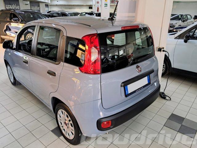 FIAT New Panda 1.0 FireFly S&S Hybrid KM 48.700