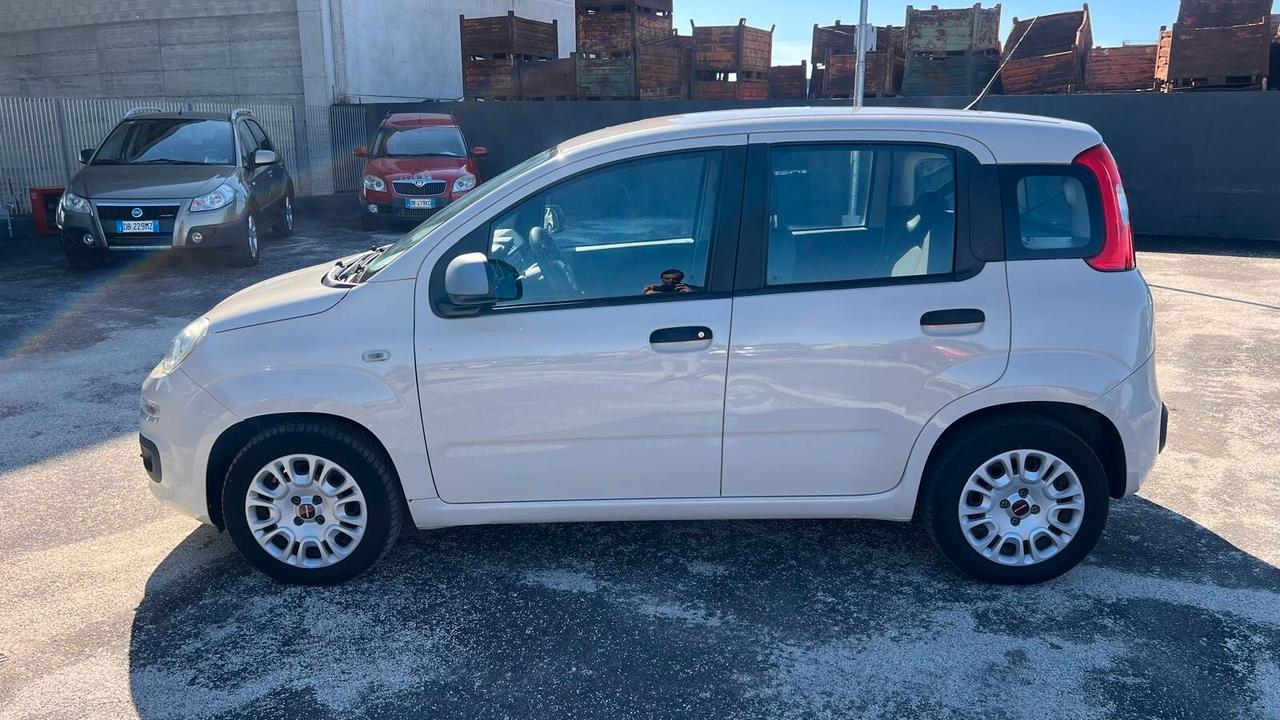Fiat Panda 1.2 Easy NEOPATENTATI-UNICO PROPRIETARIO