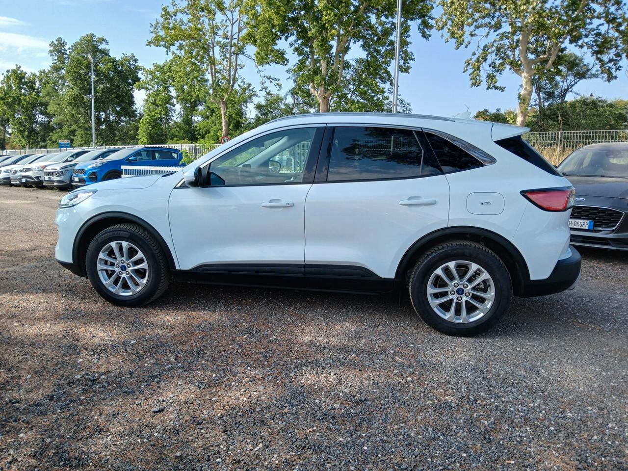 Ford Kuga 2.0 EcoBlue 120 CV aut. 2WD Titanium X