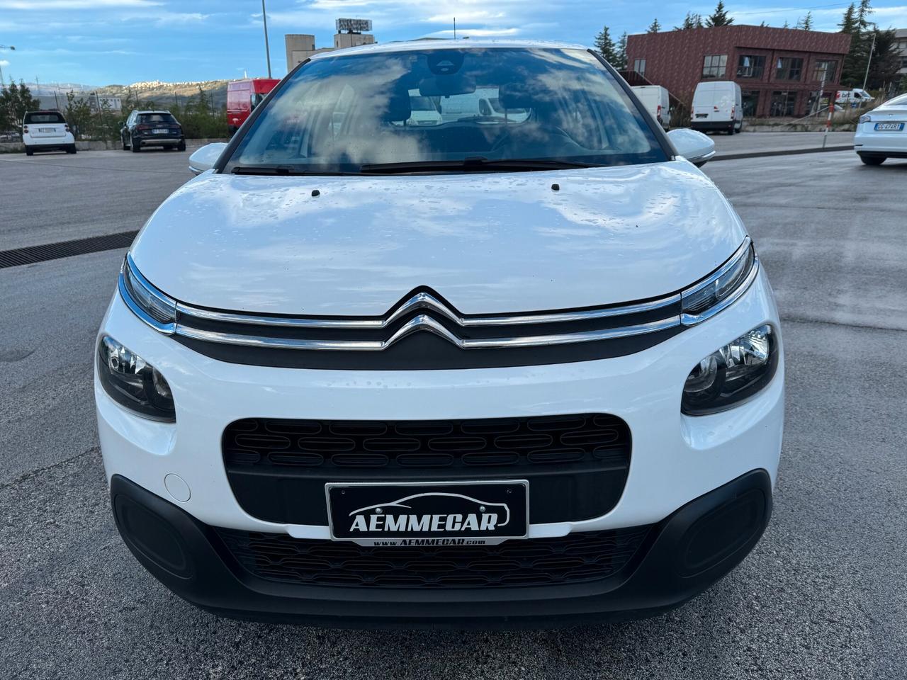 Citroen C3 BlueHDi 100 S&S Van N1