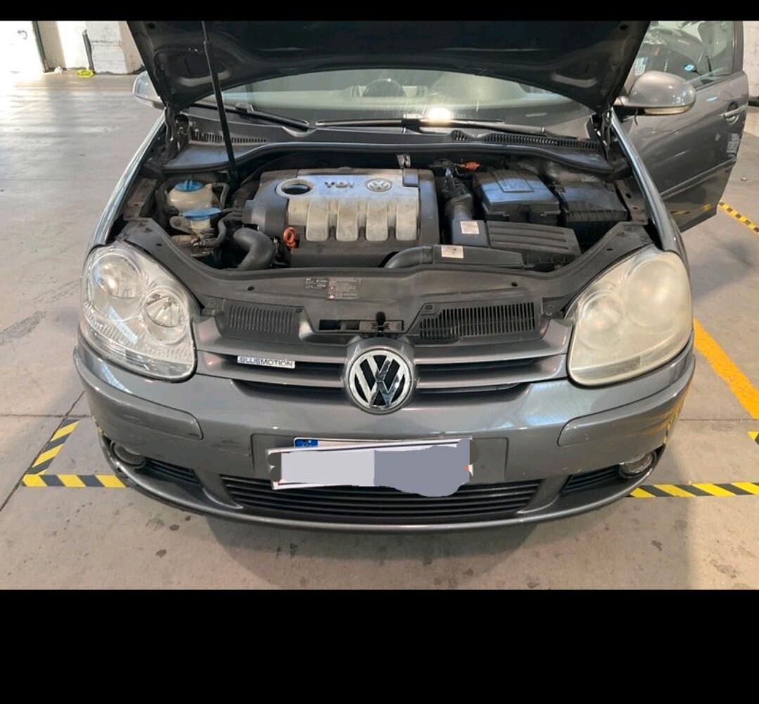 Volkswagen Golf 1.9 TDI DPF 5p. Comfortline 2008