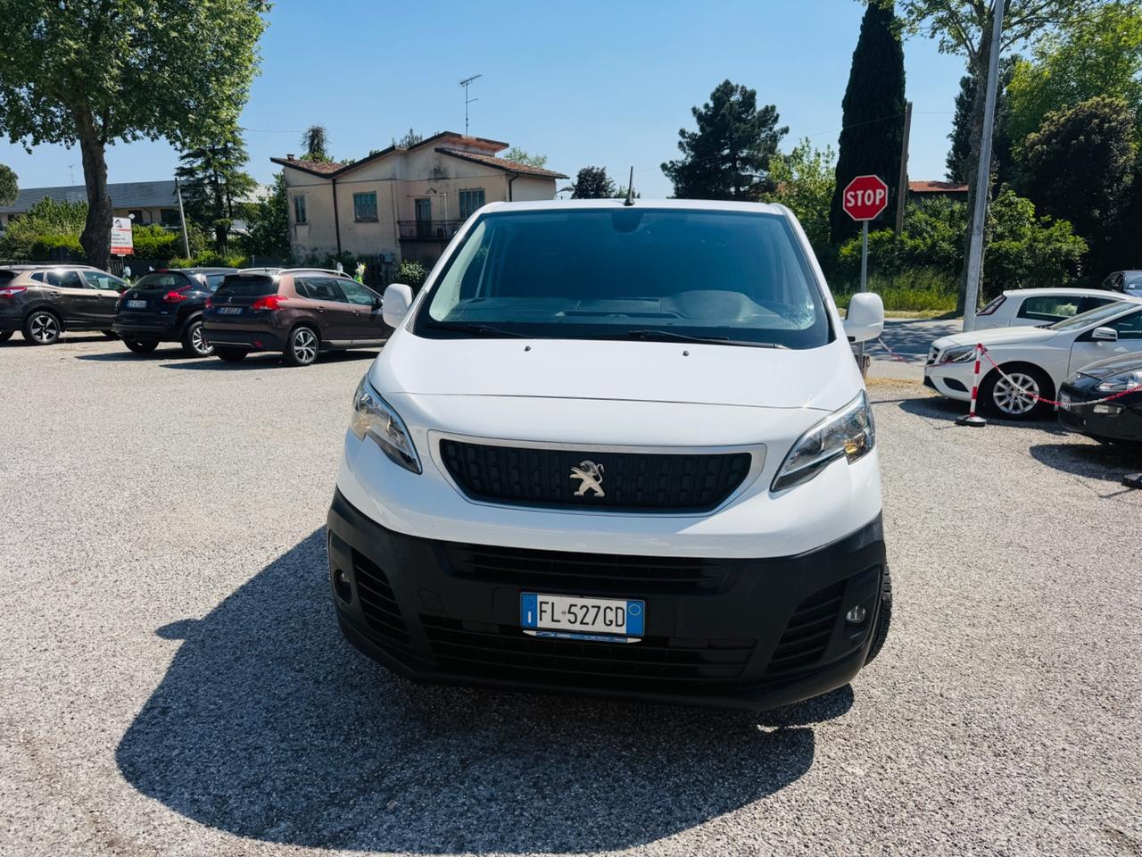 Peugeot Expert BlueHDi 120 PL-SL-TN Furgone Pro Long