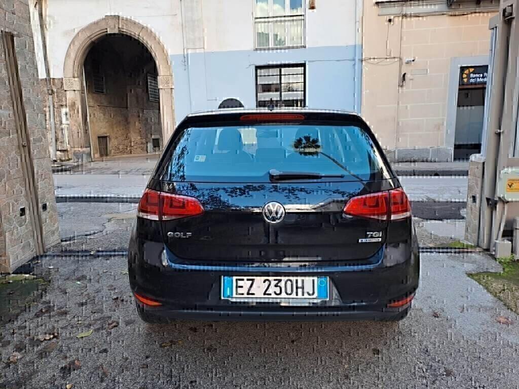 Volkswagen Golf 1.4 TGI 5p. Highline Tagliandata