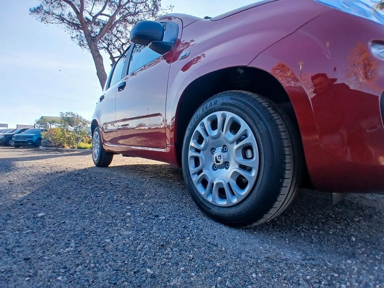 Fiat Panda 1.0 FireFly S&S Hybrid Pandina