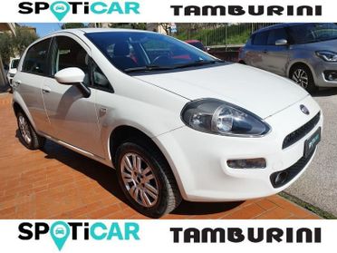 FIAT Punto Punto 1.4 8V 5 porte Natural Power Lounge