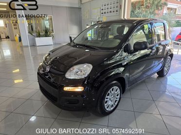FIAT Panda Panda 1.0 FireFly S&S Hybrid Pandina