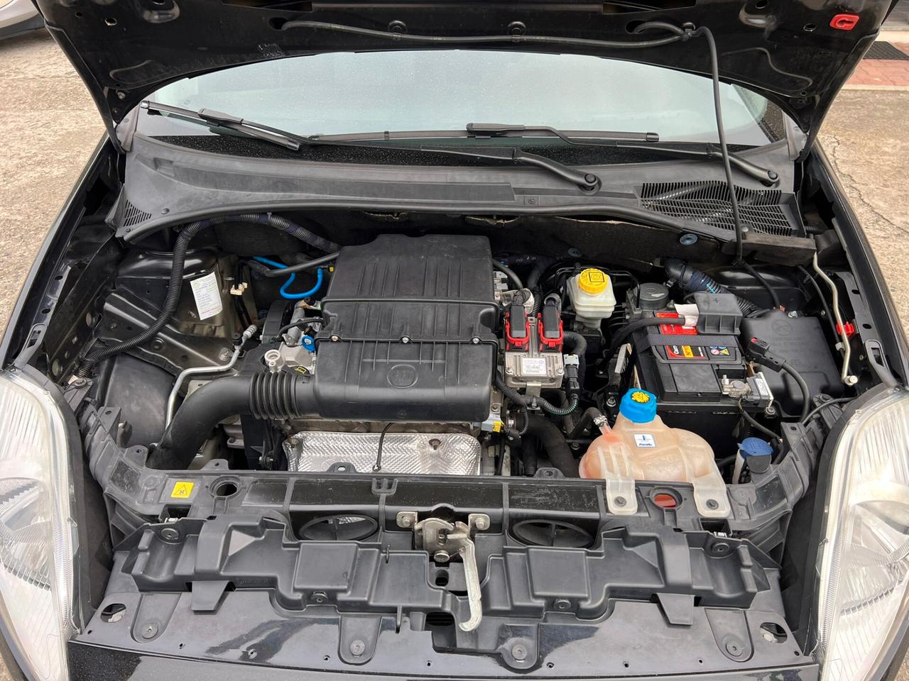 Fiat Punto Evo 1.2 5 porte S&S Dynamic