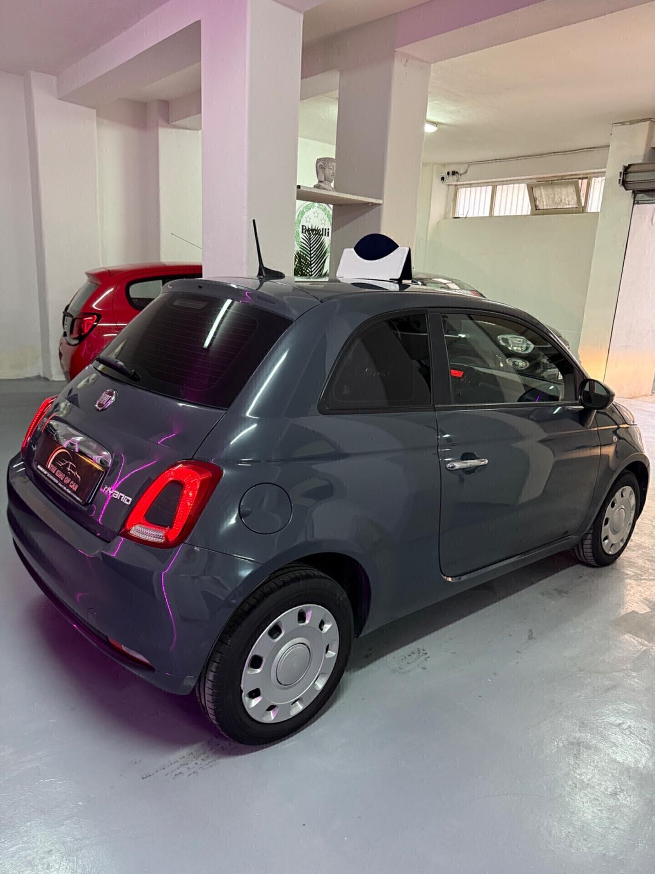 Fiat 500 1.0 Hybrid cult 2021