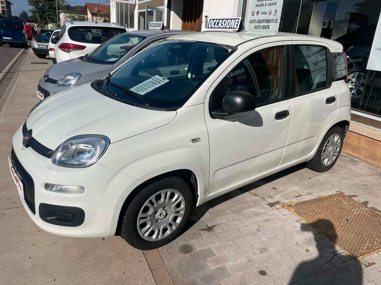 Fiat Panda Pandina 1.0 FireFly 65 CV Hybrid Icon