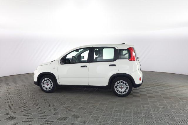 FIAT Panda Panda 1.0 FireFly S&S Hybrid