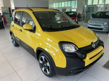 FIAT Panda 1.0 FireFly S&S Hybrid Pandina - In arrivo
