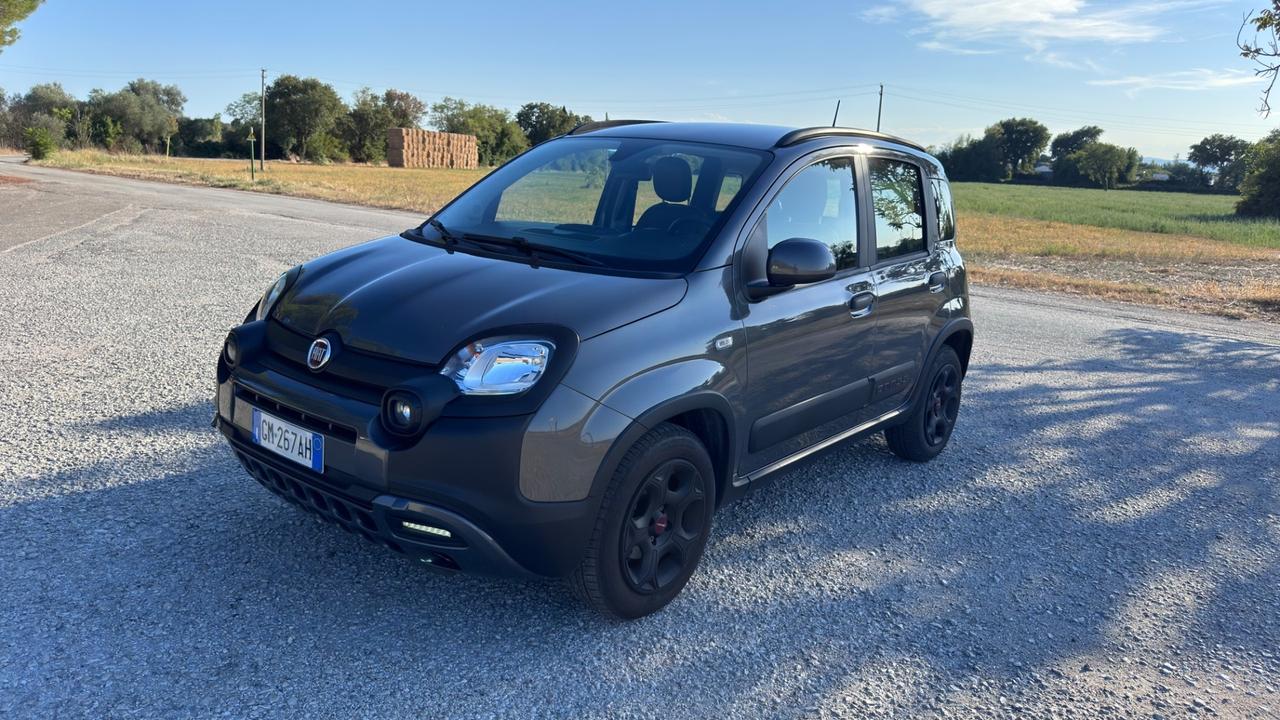 Fiat Panda Cross 1.0 FireFly S&S Hybrid