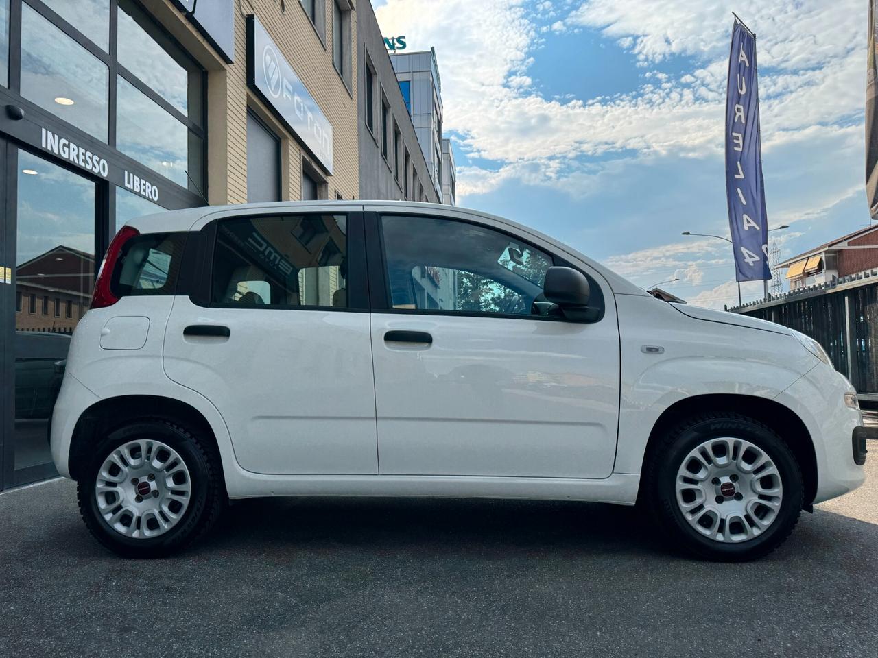 Fiat Panda 1.2 Easy neopatentato