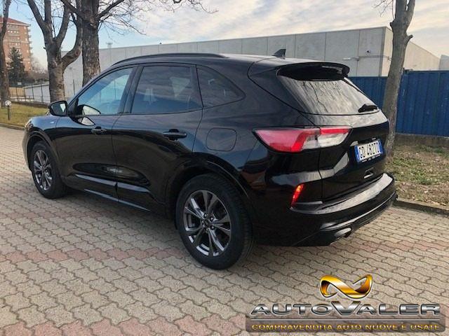 FORD Kuga 1.5 EcoBlue 120 CV Cambio aut. ST-Line