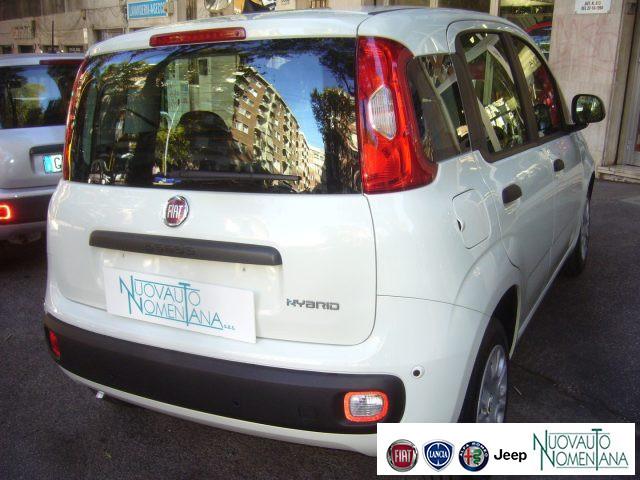FIAT Panda 1.0 FireFly S&S Hybrid 5°posto Pack City Km0