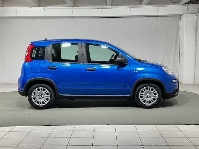 Fiat Panda 1.0 FireFly S&S Hybrid KM ZERO