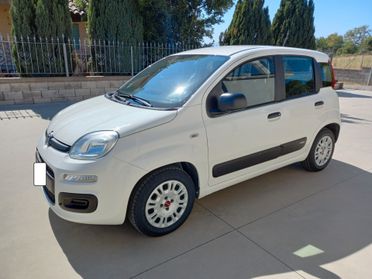 Fiat Panda 1.2 BENZ/GPL2020(IN SEDE YPSILON PANDA 4X4)