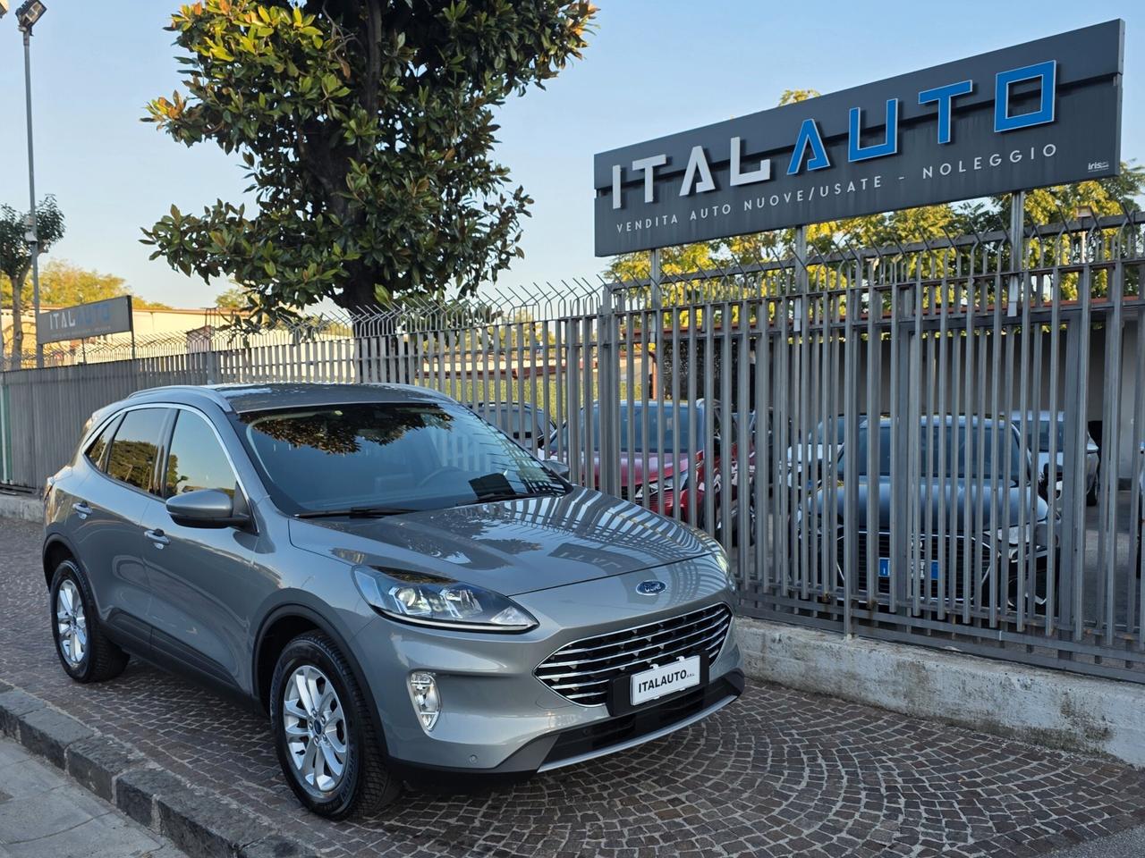 Ford Kuga 1.5 EcoBlue 120 CV aut. 2WD Titanium Business