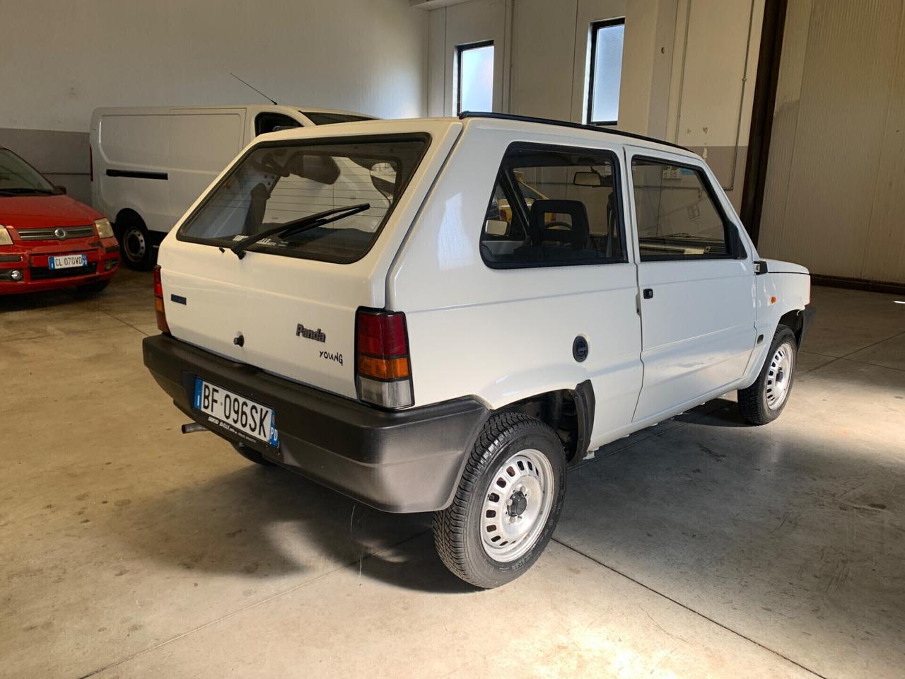 Fiat Panda 900 i.e. cat Young