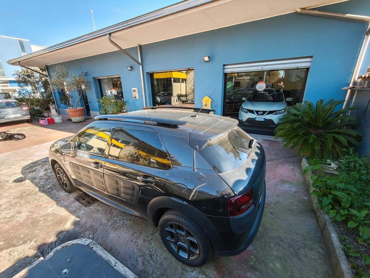 Citroen C4 Cactus PureTech 82 Shine