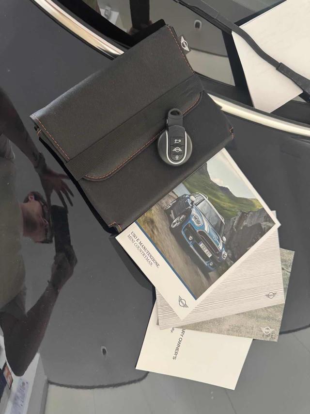 MINI Countryman 2.0 John Cooper Works Countryman ALL4/TETTO/PELLE