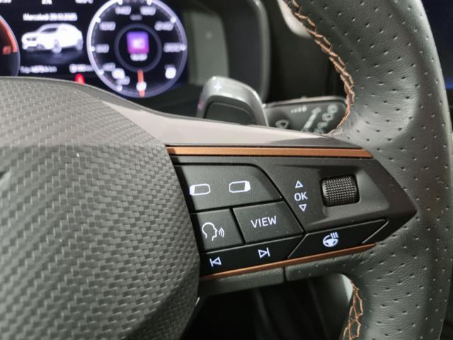 CUPRA Formentor 2.0 TDI 4Drive DSG