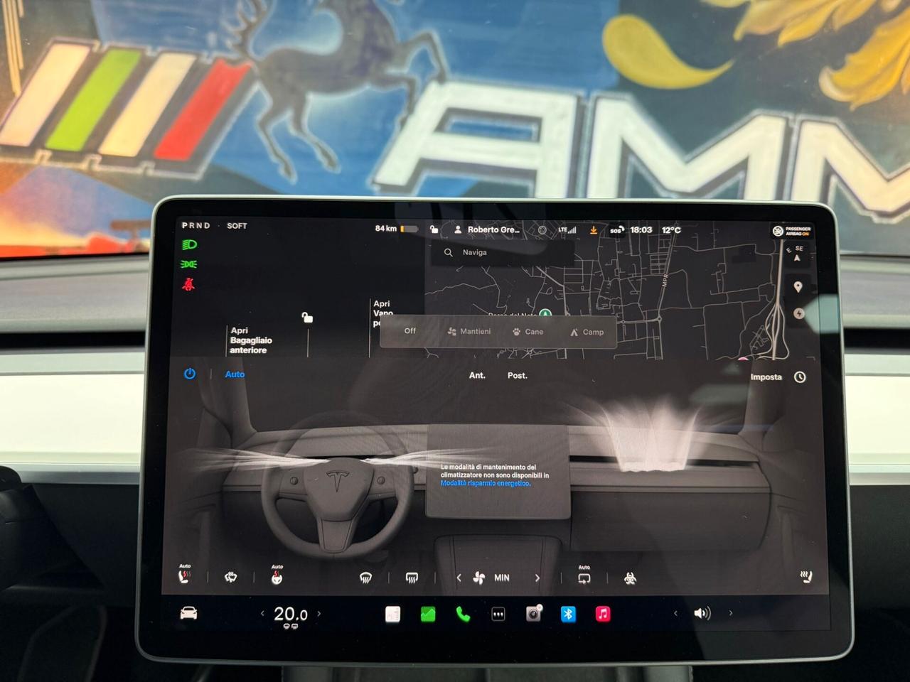 Tesla Model Y AWD Performance (423)