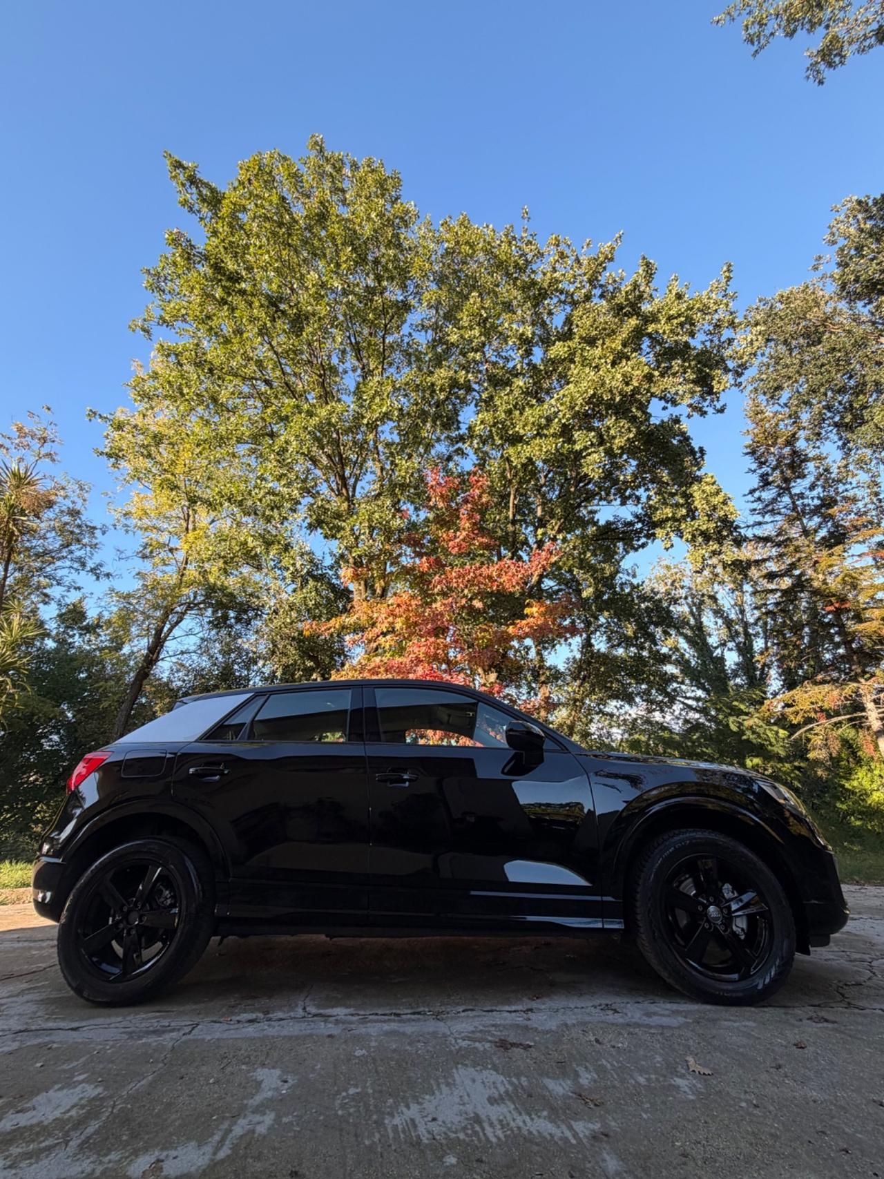 Audi Q2 1.6 S TRONIC 115CV IDENTITYBLACK