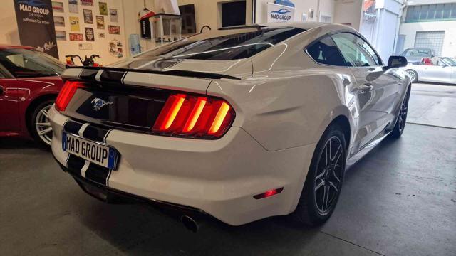 FORD Mustang Fastback 2.3 EcoBoost MANUALE!!