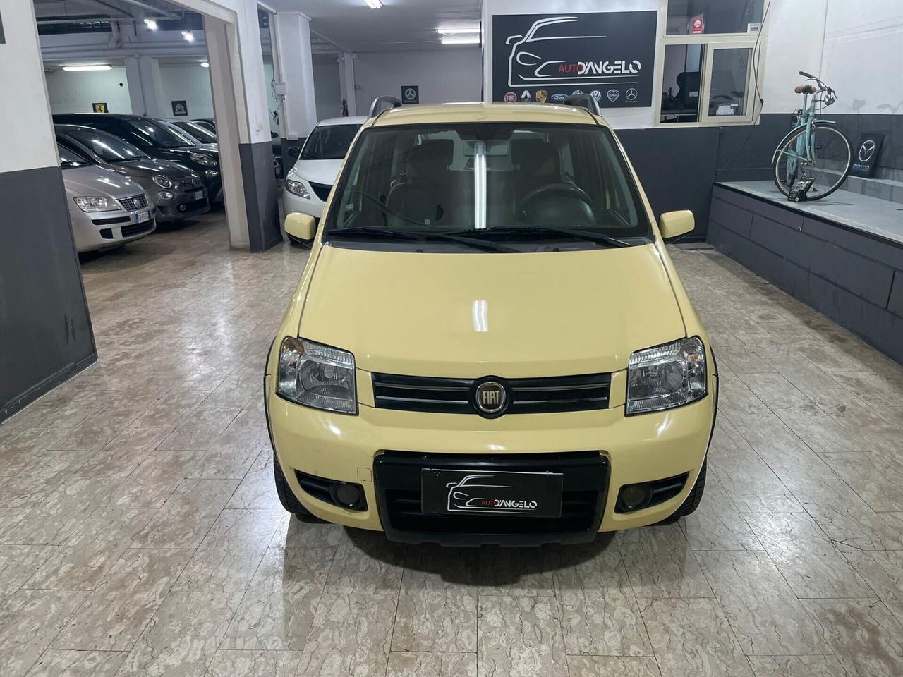 Fiat Panda 1.2 Climbing Natural Power