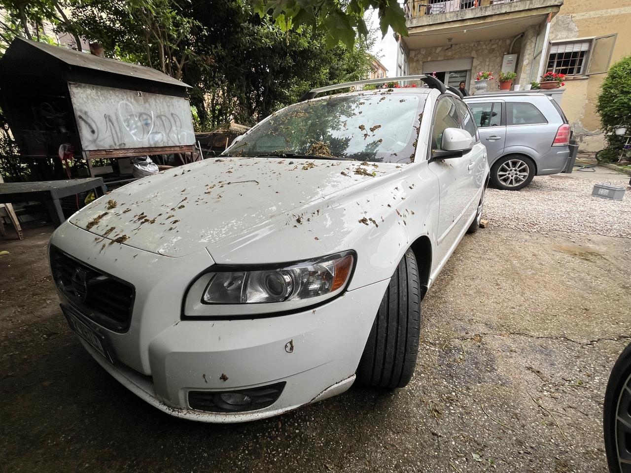 Volvo V50 solo EXPORT