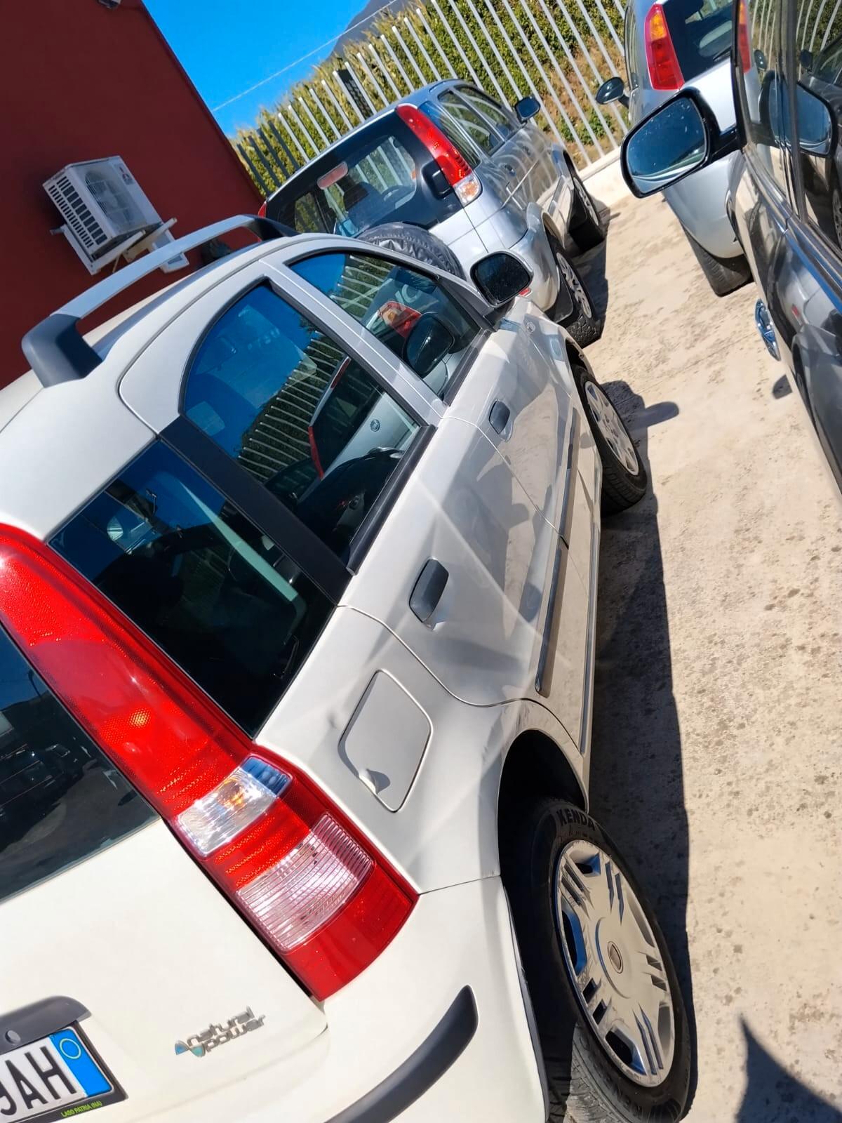 Fiat Panda 1.4 Natural Power Van Active 2 posti