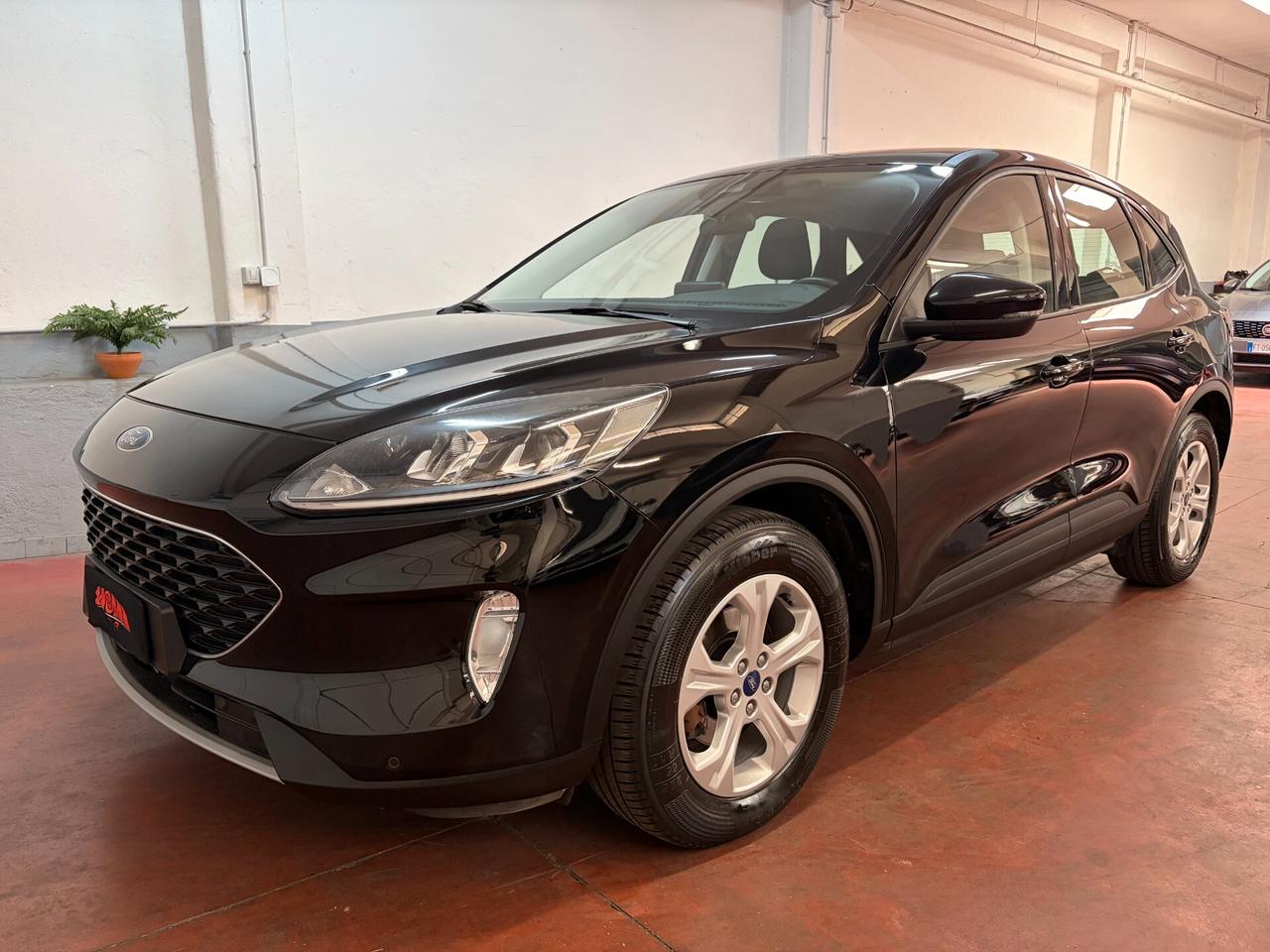 Ford Kuga 1.5 EcoBlue 120 CV 2WD Connect