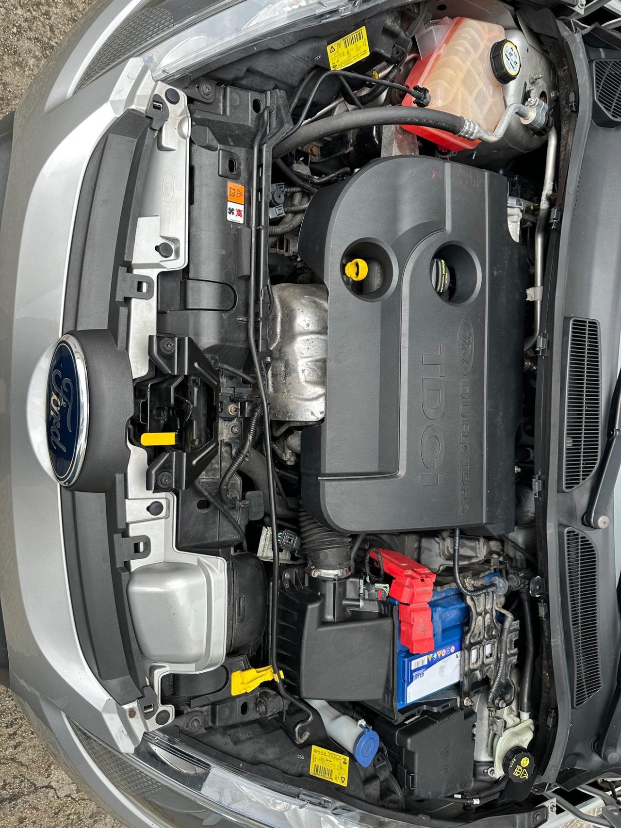 Ford Fiesta 1.4 TDCi 70CV 5 porte