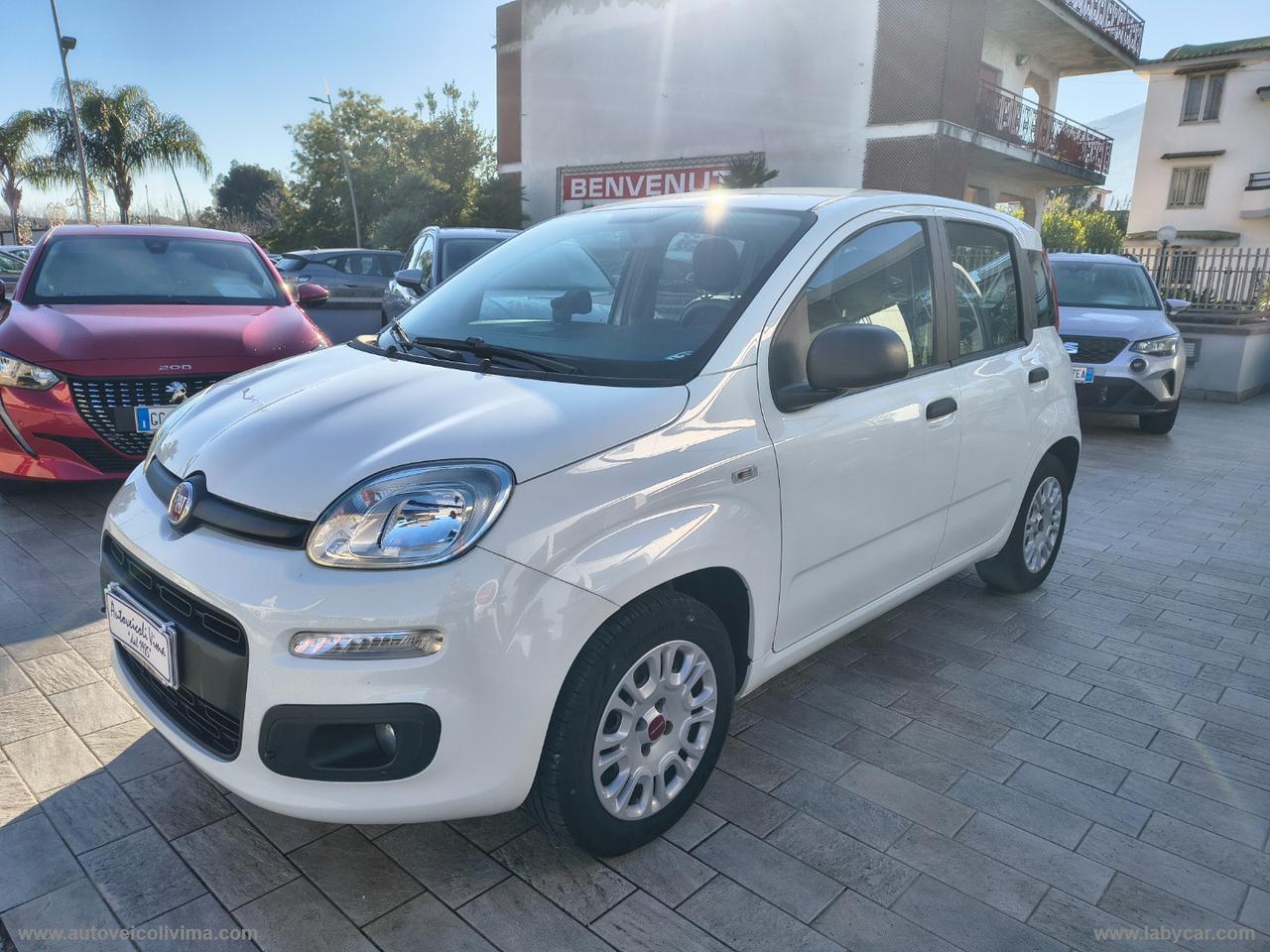 FIAT Panda 1.2 EasyPower Easy TAGLIANDI FIAT