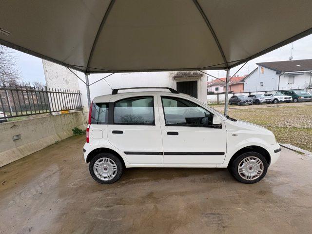 FIAT Panda 1.2 Dynamic BENZ/METANO OK NEOPATENTATI FARI FENDI