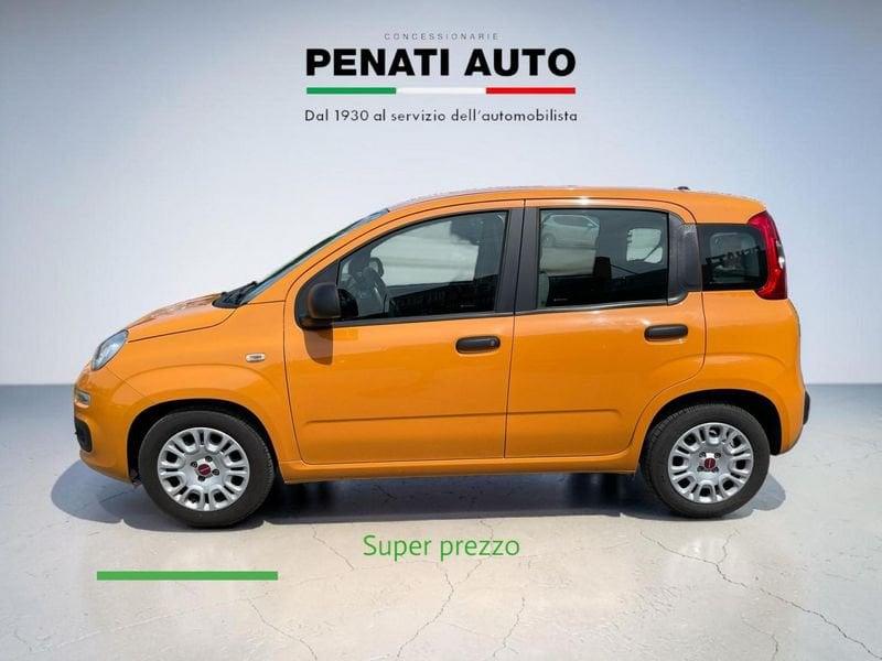 FIAT Panda 1.0 FireFly 70cv S&S Hybrid