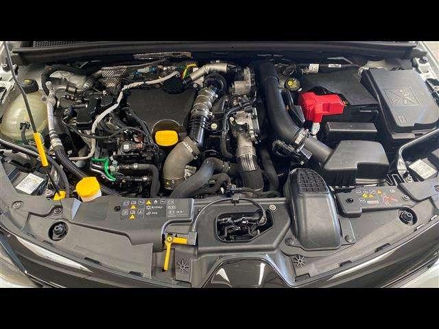 Renault Clio 5 Porte 1.5 Blue dCi Business