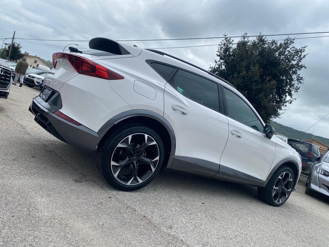 Cupra Formentor 2.0 TDI 4Drive DSG