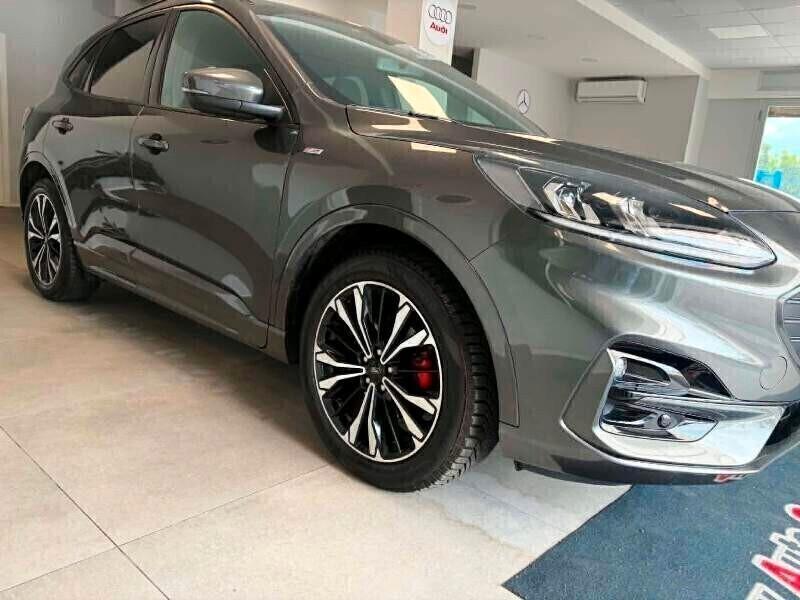 Ford Kuga 1.5 EcoBlue 120 CV aut. ST-Line