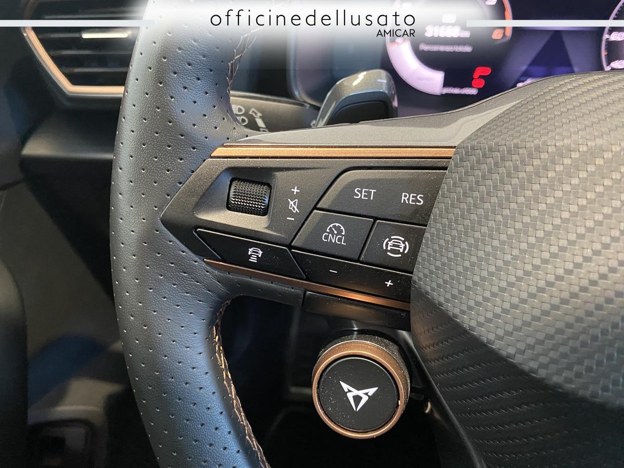 Cupra Formentor 2.0 tdi 150cv dsg