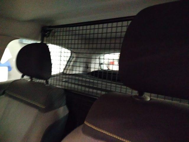 RENAULT Clio Blue dCi 100 CV 5p Autocarro 2 posti