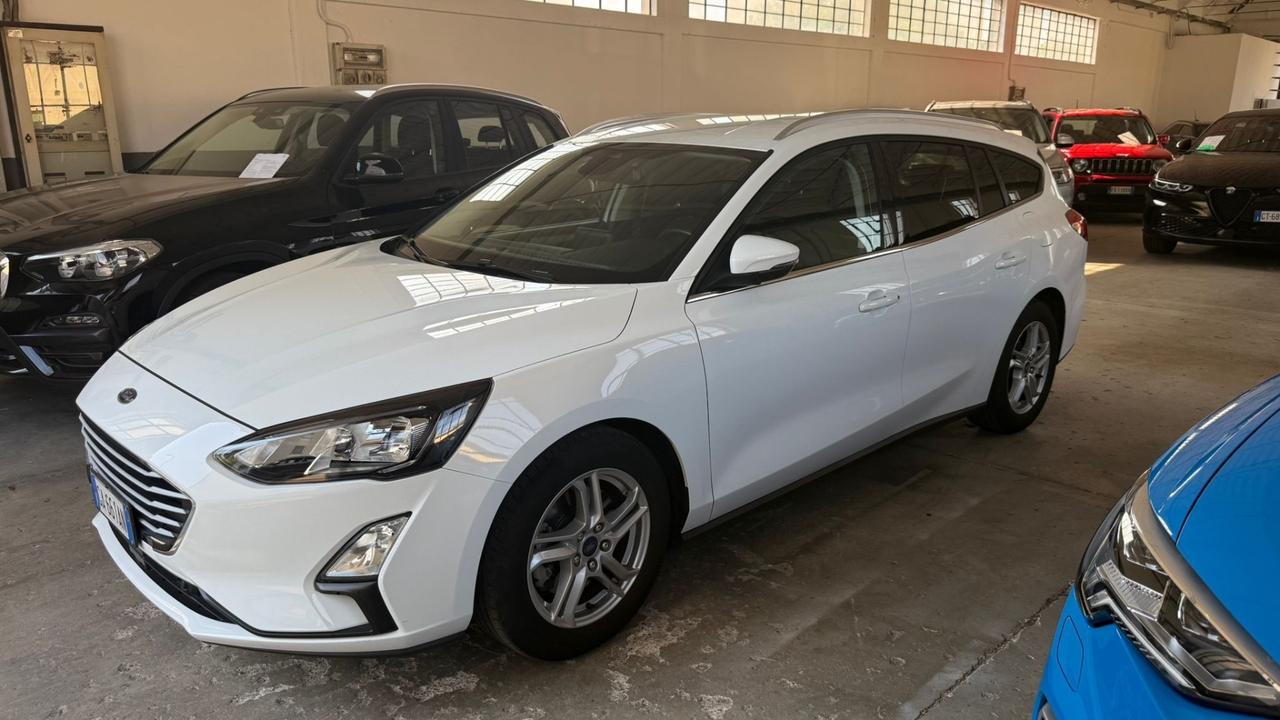 Ford Focus 1.5 EcoBlue 120 CV automatico SW Business Co-Pilot