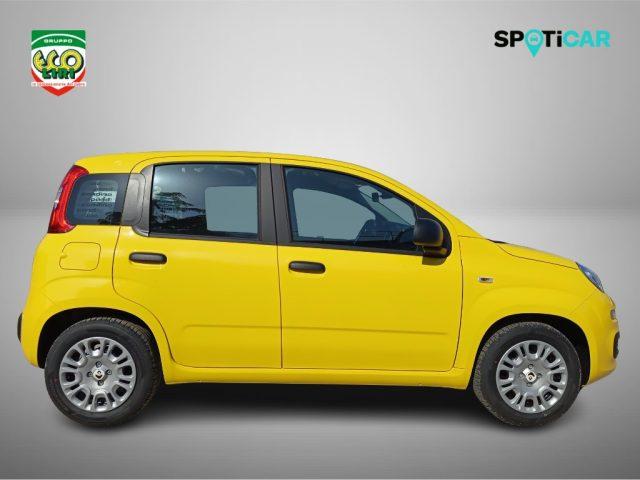 FIAT Panda 1.0 FireFly S&S Hybrid Pop
