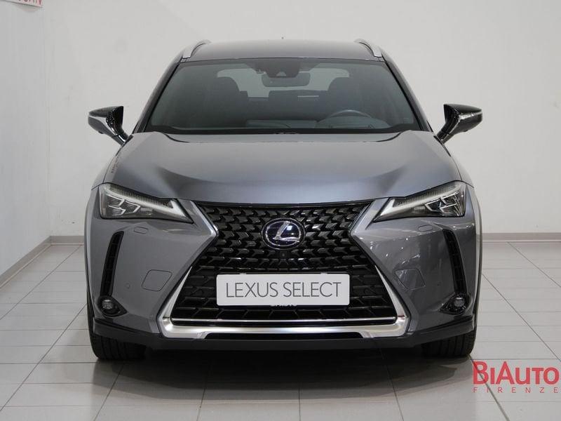 Lexus UX Hybrid 4WD Luxury