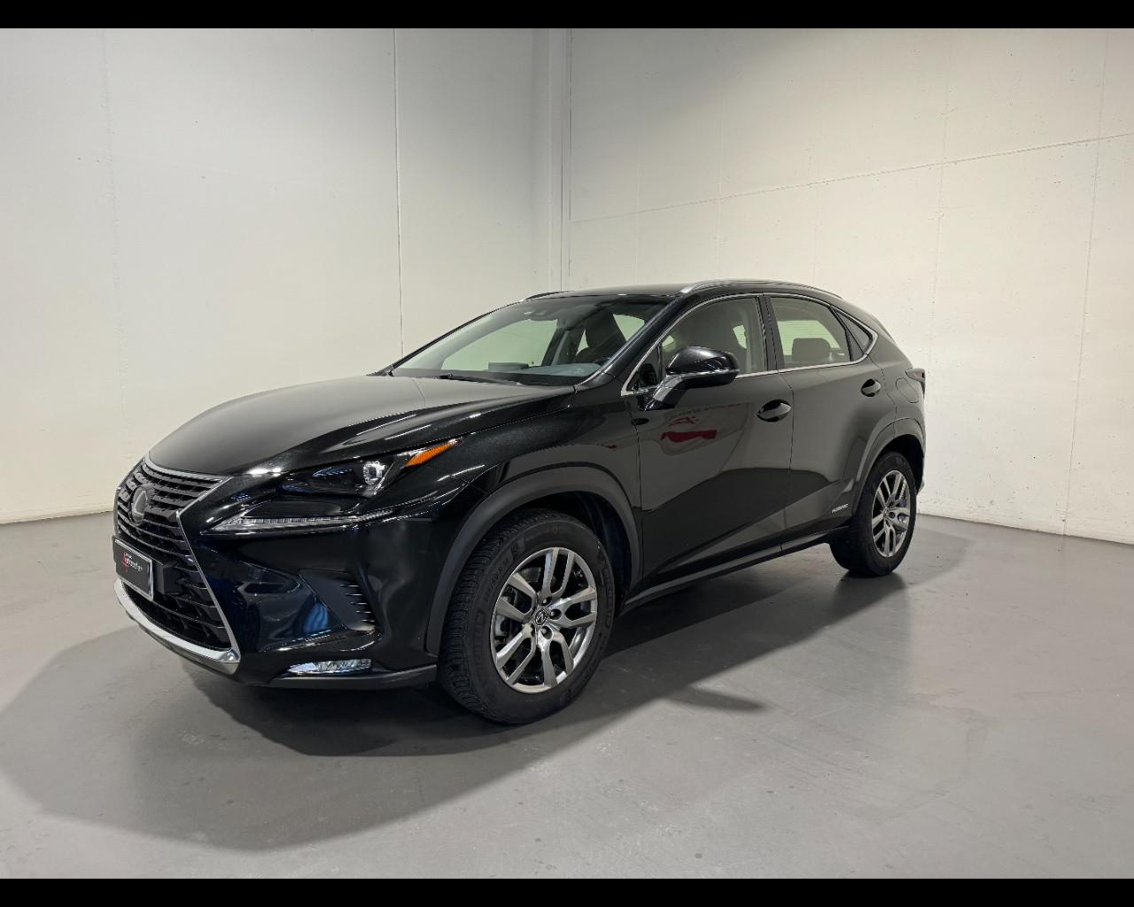 LEXUS NX I NX 300h 2.5 Executive 4wd cvt