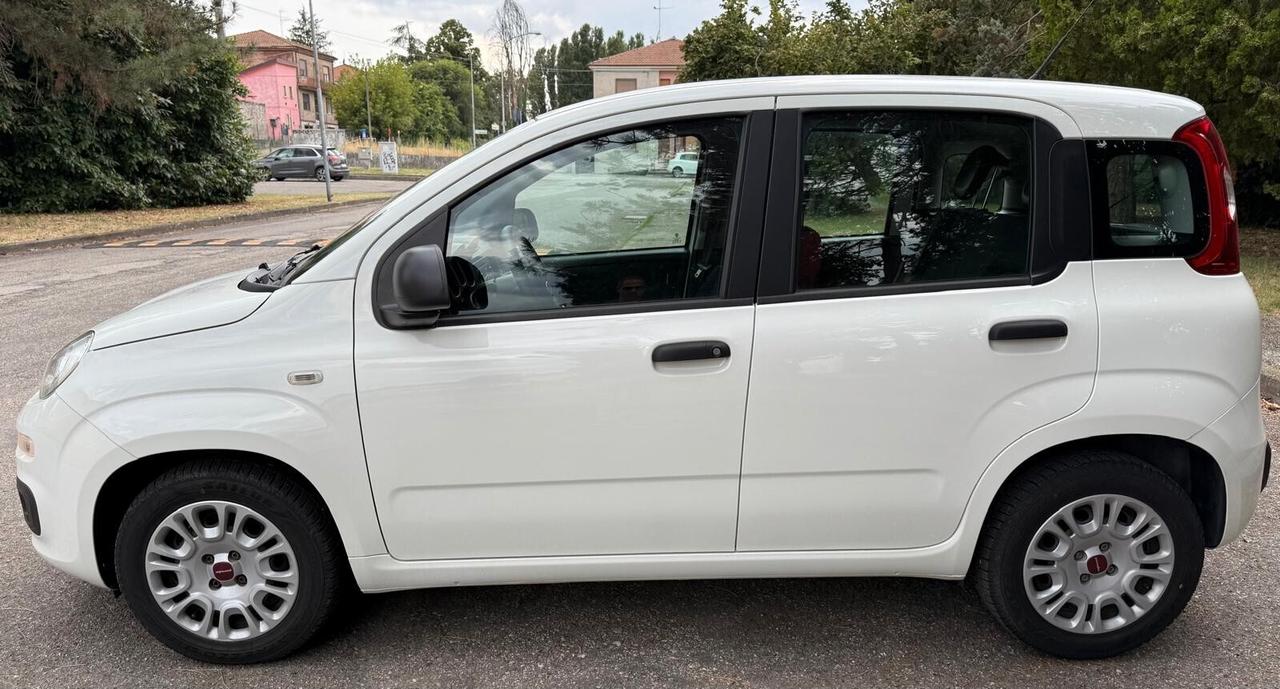 Fiat Panda 1.3 MJT 95 CV S&S Easy